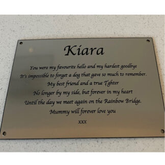 Silver Finish Engraved Plaque 7" x 5"